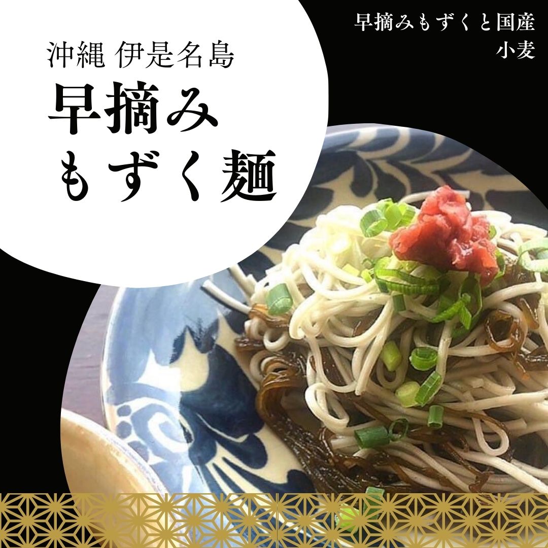 早摘みもずく麺5袋セット【送料無料】