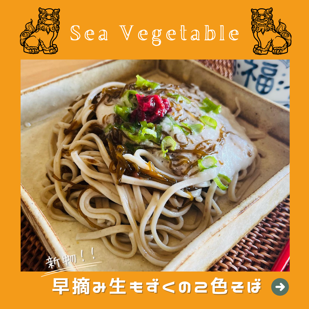 「のりのり天」新発売!プレゼントキャンペーン!早摘み生もずく☆たれセット『500g×3袋&もずくのたれ1本』購入でのりのり天2個プレゼント!