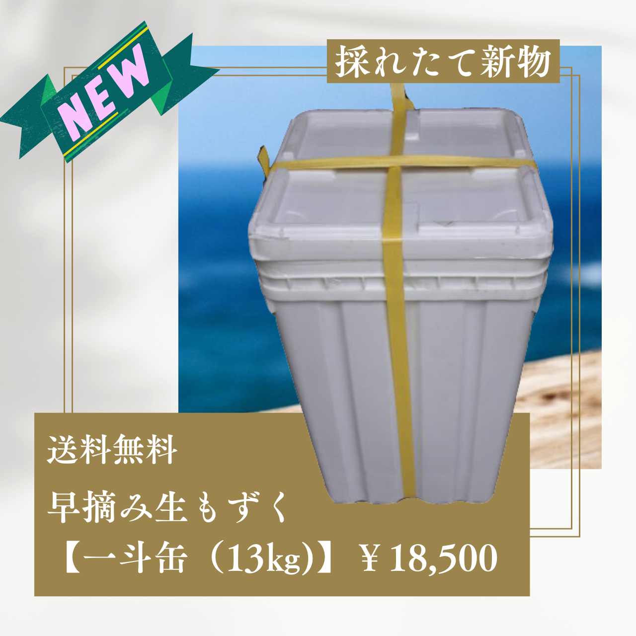 早摘み生もずく☆超お得!【どーんと業務用で一斗缶(13㎏)】【送料無料】