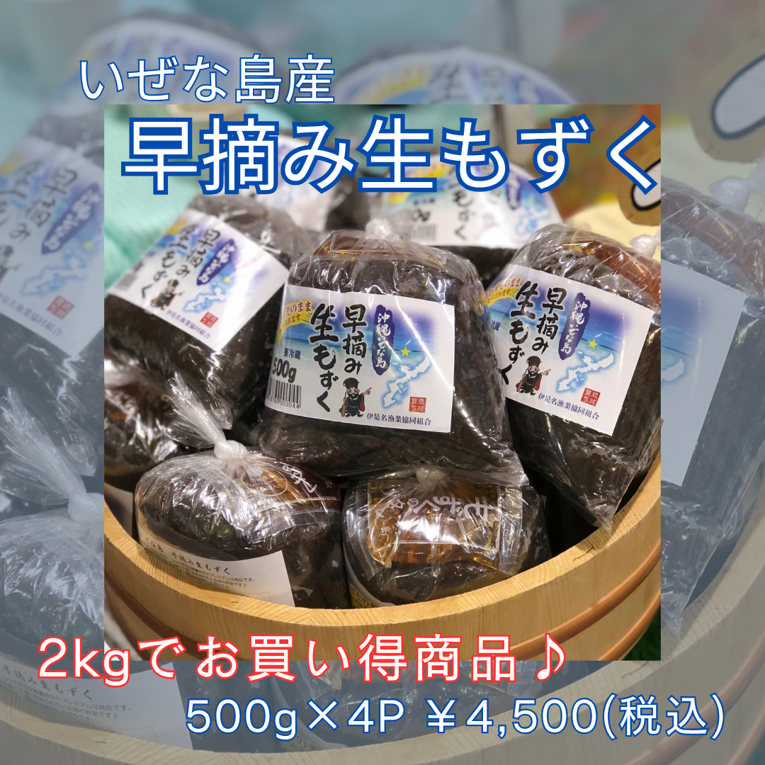 2025年産早摘みもずく☆お買い得品☆沖縄県産太もずく18kg☆送料無料 y1.jpg
