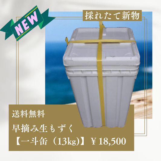 新物！早摘み生もずく☆超お得！【どーんと業務用で一斗缶（13㎏)】【送料無料】