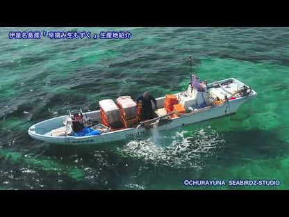 ちゅらなべセット（2～3人前）【送料無料】