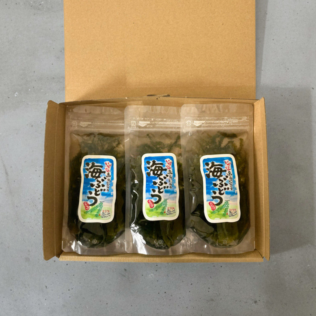 海ぶどう　ボックス